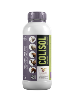 COLISOL