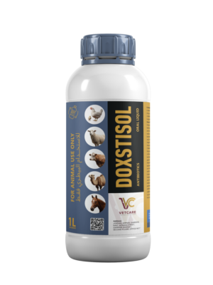 DOXSTISOL
