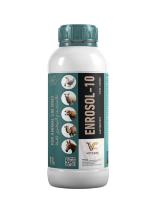 ENROSOL-10