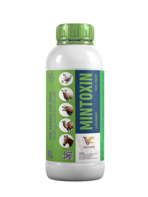 MINTOXIN