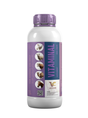 VITAMINAL